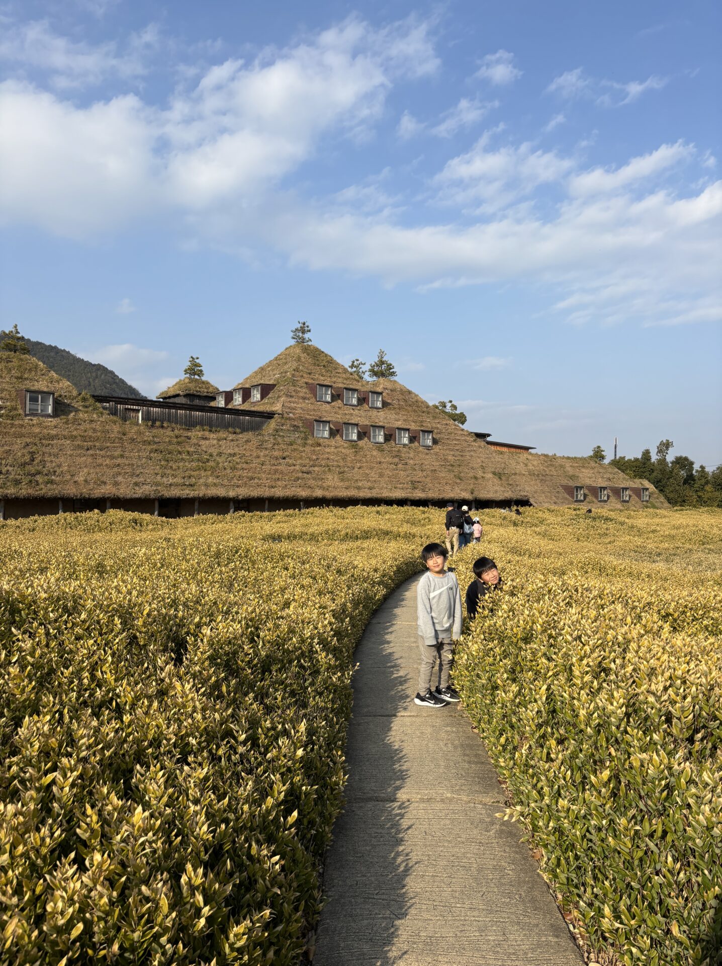 滋賀県近江八幡市へ