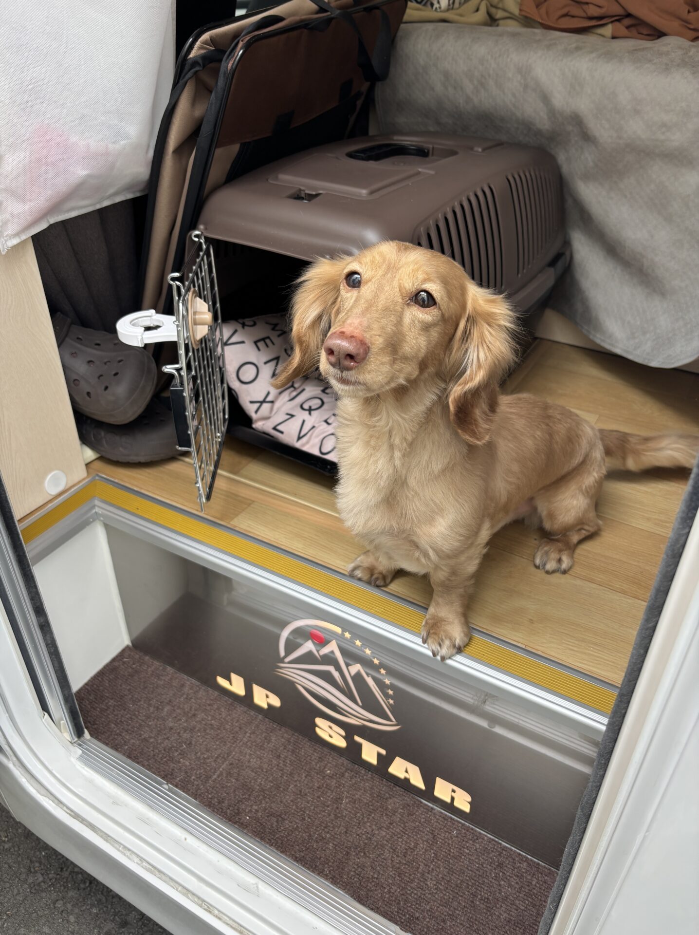 【RVパーク】愛知県からお越しのお客様